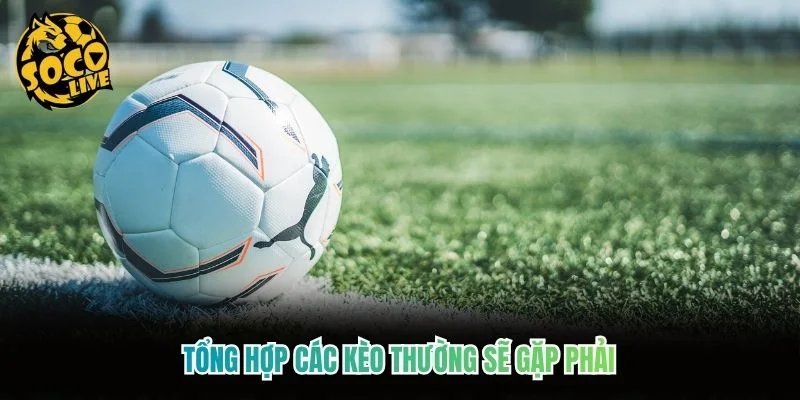 Tổng Hợp Các Kèo Thường Sẽ Gặp Phải